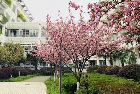 南京師范大學(xué)附屬實(shí)驗(yàn)學(xué)校國際部招生簡章