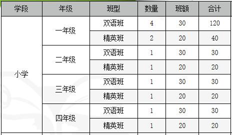 青苗國(guó)際雙語學(xué)校威海校區(qū)招生計(jì)劃