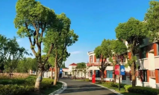 上海宏潤博源學(xué)校招生考試時(shí)間
