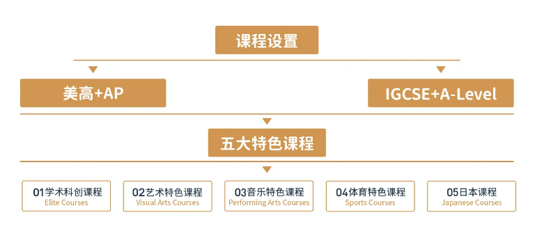 上海諾美學(xué)校日本SGU項(xiàng)目2025年招生簡(jiǎn)章！